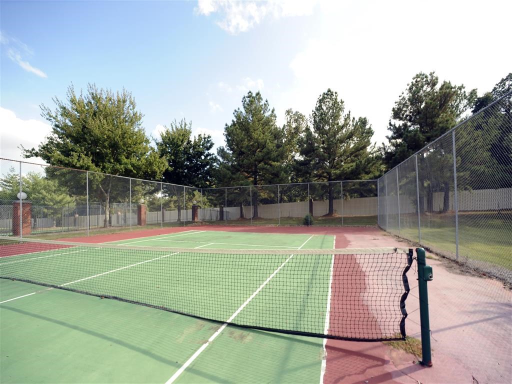 a tennis court is shown with trees in the background