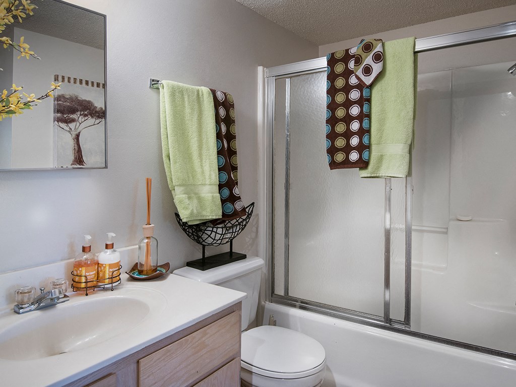 a bathroom with a shower and a sink and a toilet