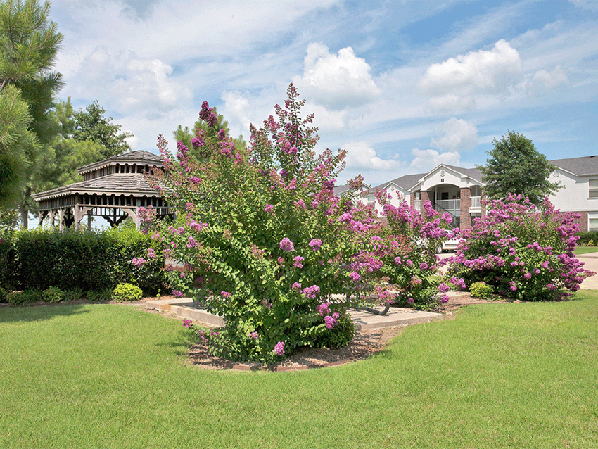a flowering tree in a yard in front of a house
