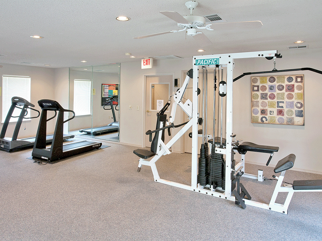a gym with cardio equipment and a ceiling fan in a home gym