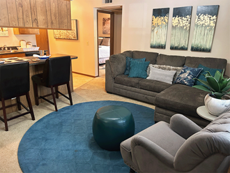 a living room with a blue rug and a couch
