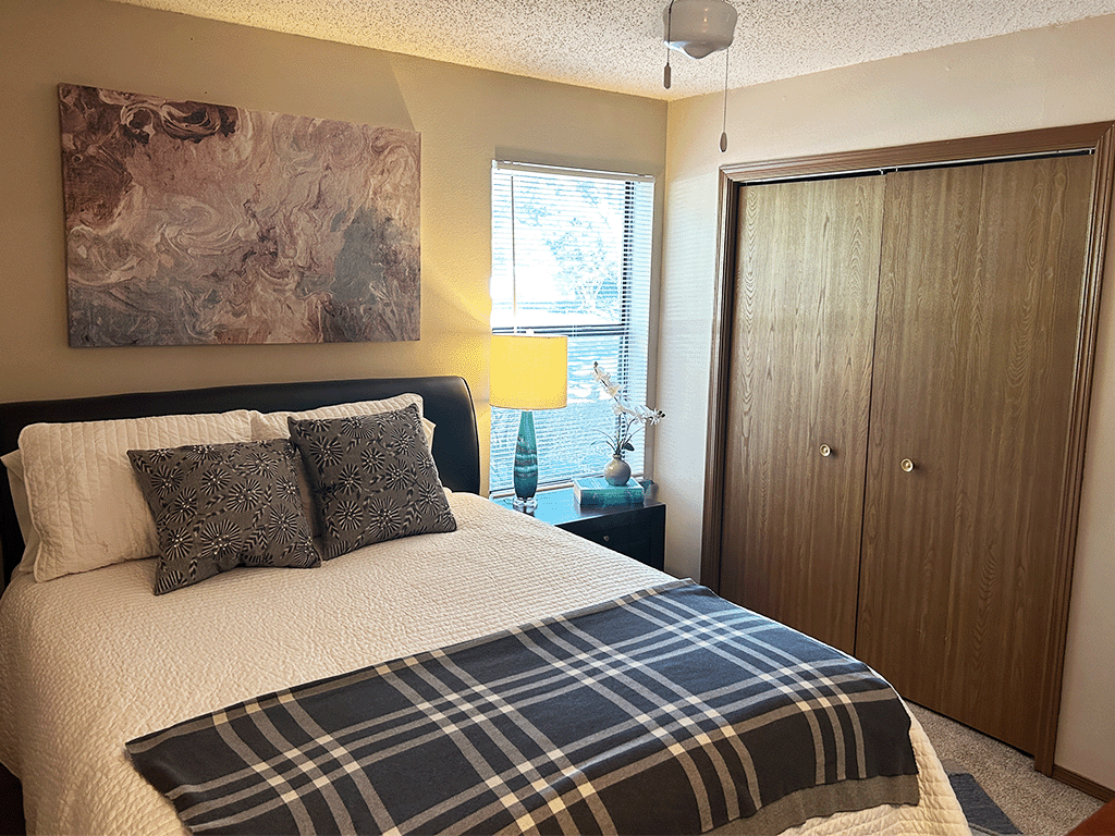 a bedroom with a bed and a closet