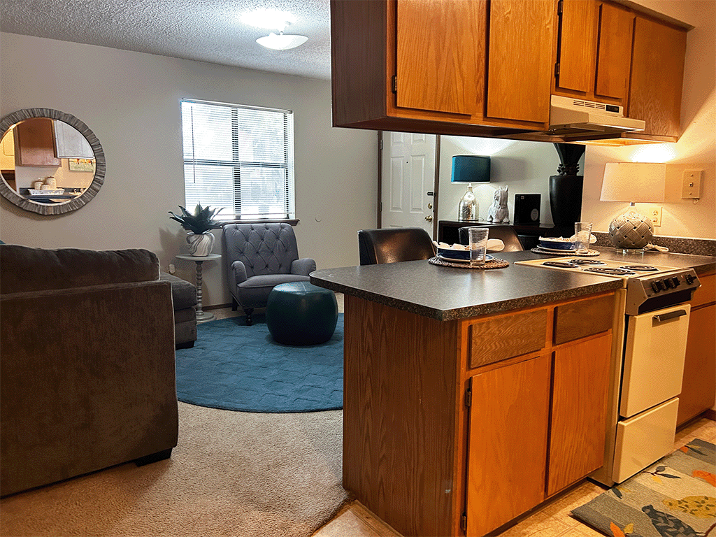a kitchen and living room with a stove and a sink
