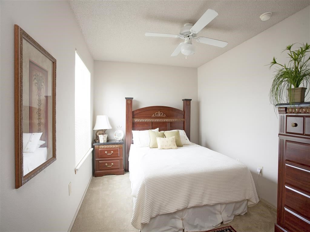 a bedroom with a large bed and a ceiling fan