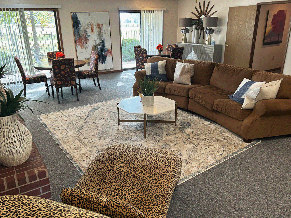a living room with a brown couch and a rug