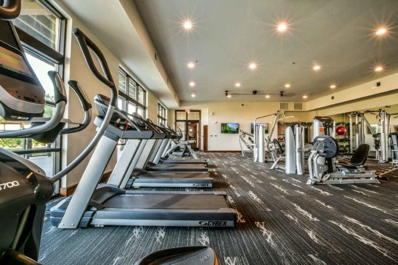 the gym is equipped with cardio equipment and weights
