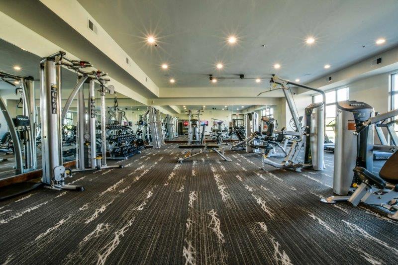 the gym is equipped with cardio equipment and weights