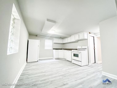 862 N. Marshfield Ave. Studio-3 Beds Apartment for Rent - Photo Gallery 2