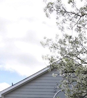 Houses For Rent In Powder Springs Ga