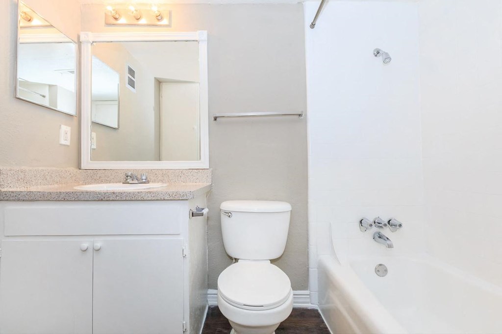 a bathroom with a toilet and a tub and a sink
