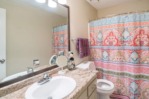 a bathroom with a sink toilet and a mirror