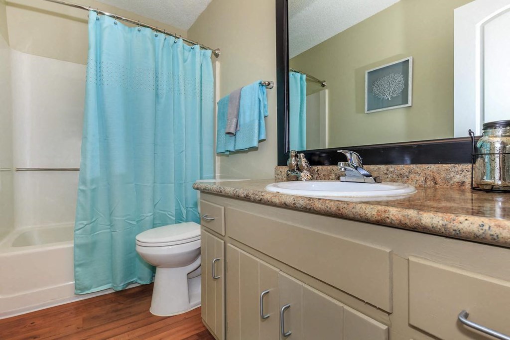 a bathroom with a sink and a toilet and a shower