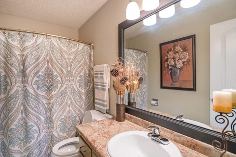 a bathroom with a sink and a shower and a toilet