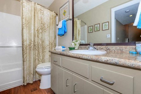 a bathroom with a sink and a toilet and a shower