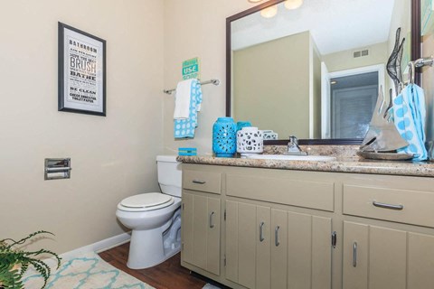 a bathroom with a toilet and a sink and a mirror