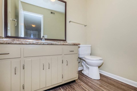 a bathroom with a toilet and a sink and a mirror