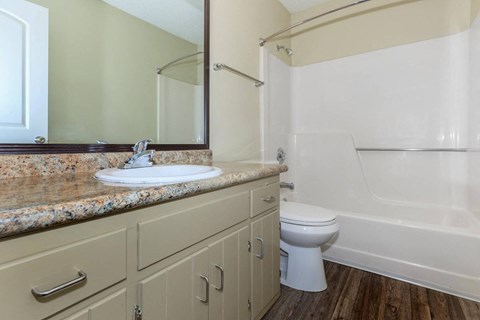 a bathroom with a sink and a toilet