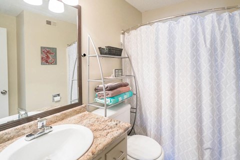 a bathroom with a shower sink and toilet and a mirror