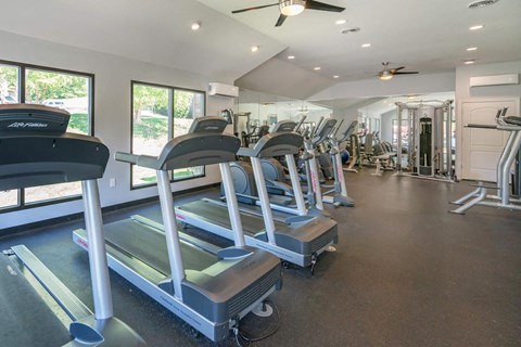 the gym is equipped with cardio equipment and weights