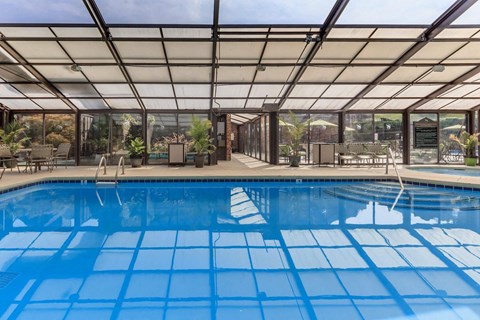 the swimming pool at the resort at paws up