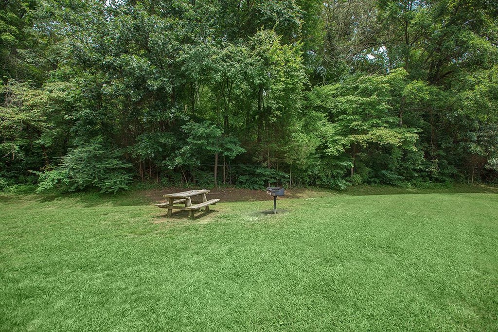 a park with a picnic table in the grass