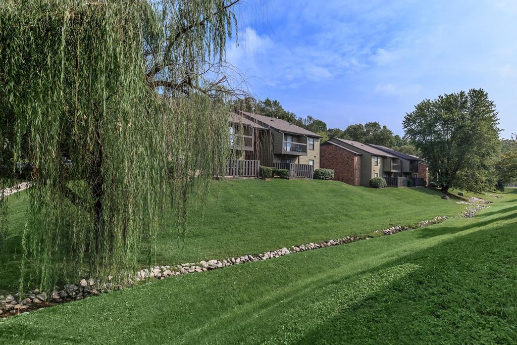 a row of houses on a hill with a weeping willow tree