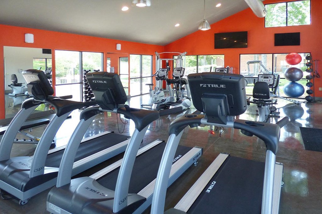 the gym has plenty of treadmills and other exercise equipment