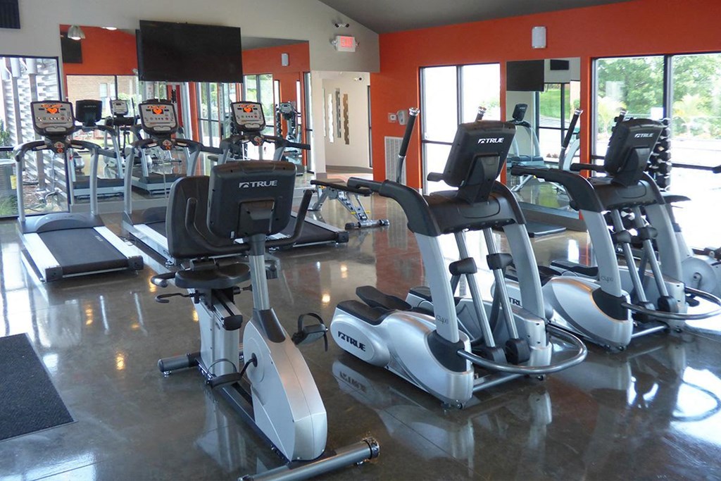 a gym with a large amount of exercise equipment