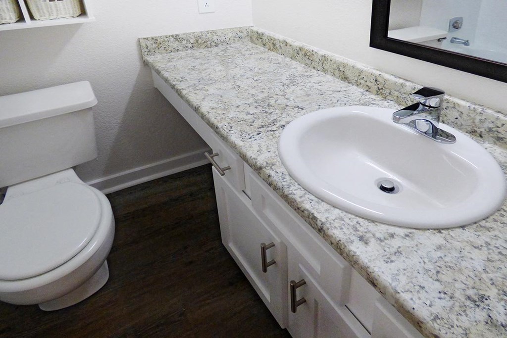 a bathroom with a sink and a toilet
