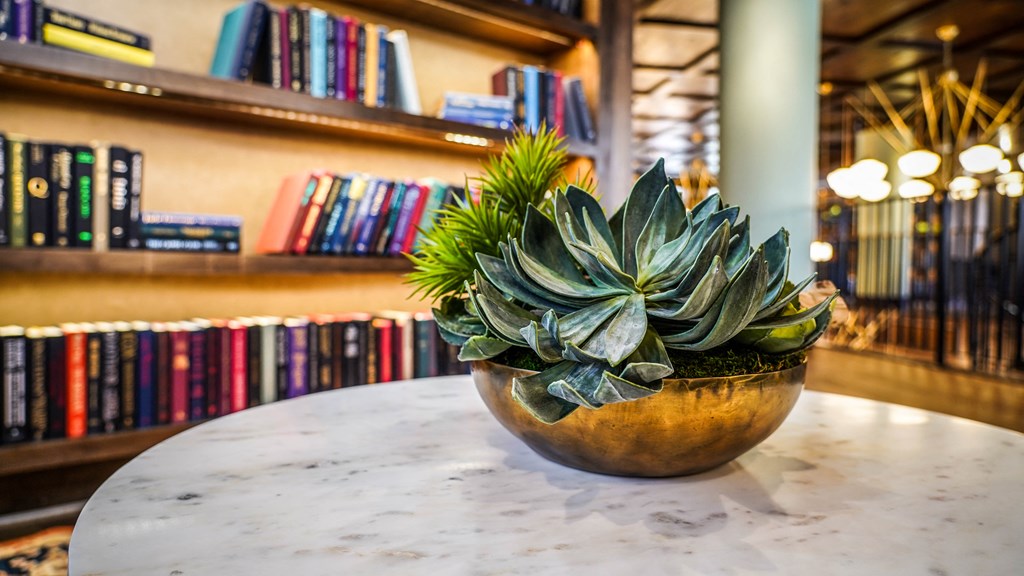 a plant on a table in a library