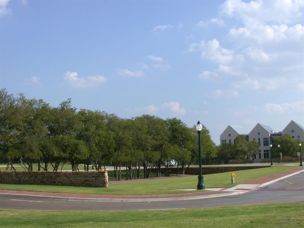 a street light in the middle of a park