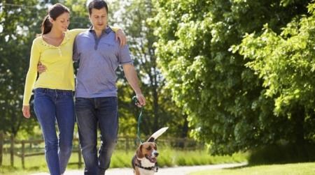 Hiking Trails at The Villas in Bellevue Apartments, 595 156th Avenue SE