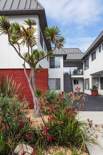 6754-6764 Abrego Rd 1-2 Beds Apartment, Student for Rent - Photo Gallery 5