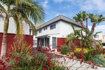 6754-6764 Abrego Rd 1-2 Beds Apartment, Student for Rent - Photo Gallery 6