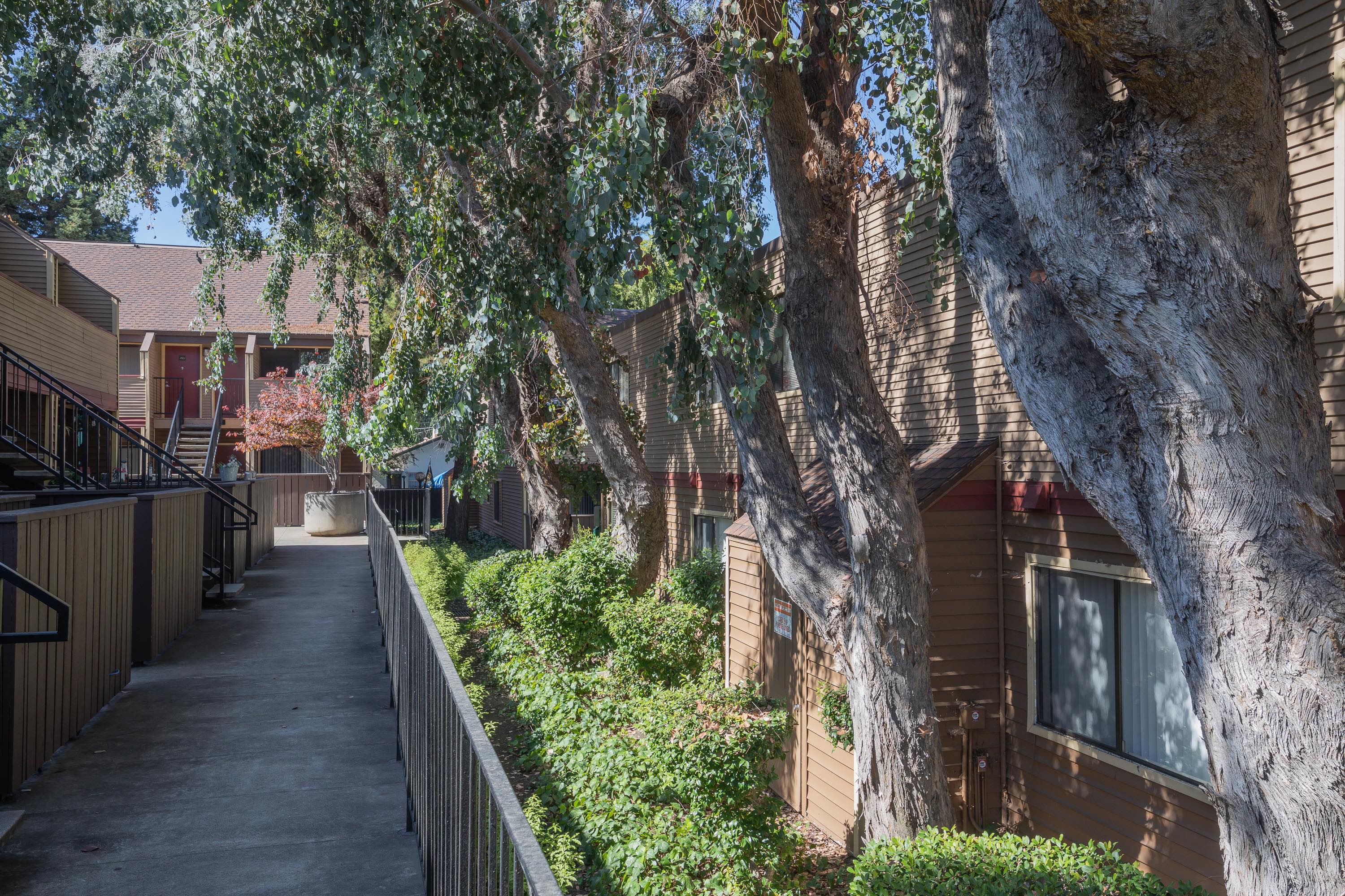 a sidewalk in front of a row of houses with trees