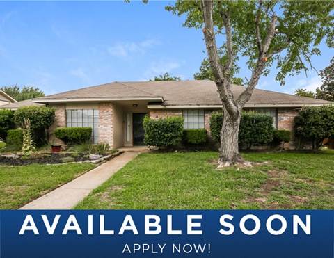 a house with a tree in the yard and a sidewalk