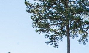 Fox Run Apartments In Tyler Tx