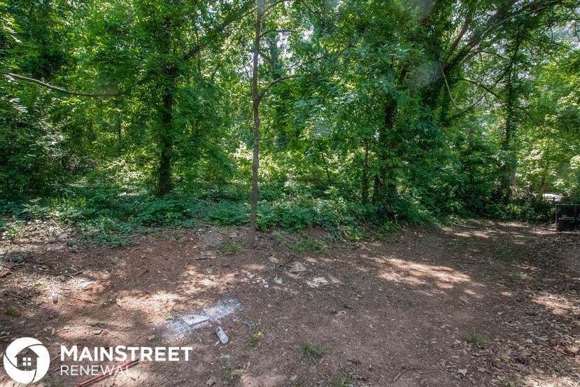 a dirt road in the woods with trees