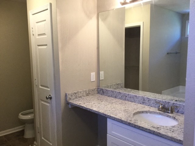 a bathroom with a sink and a mirror and a toilet