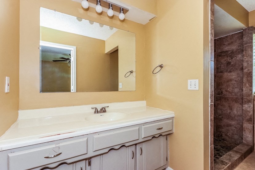 a bathroom with a sink and a mirror and a shower
