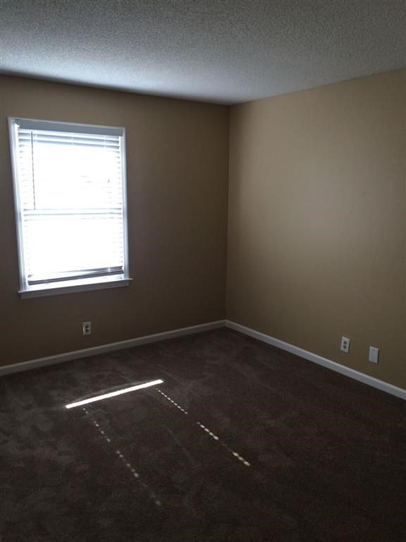 a empty room with a window and brown carpet