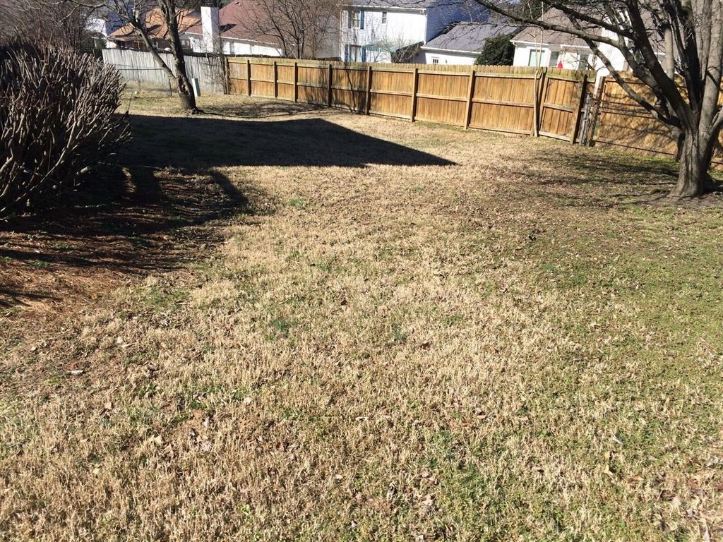 a fenced in backyard with a tree and a fence