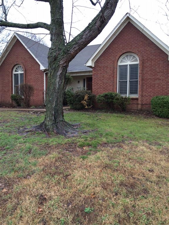 a house with a tree in the front of it