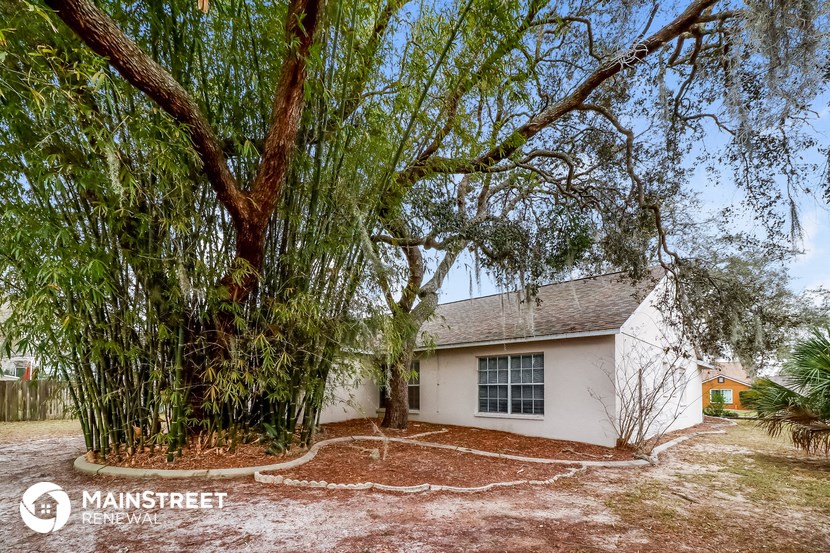 a small white house with a large tree in front of it
