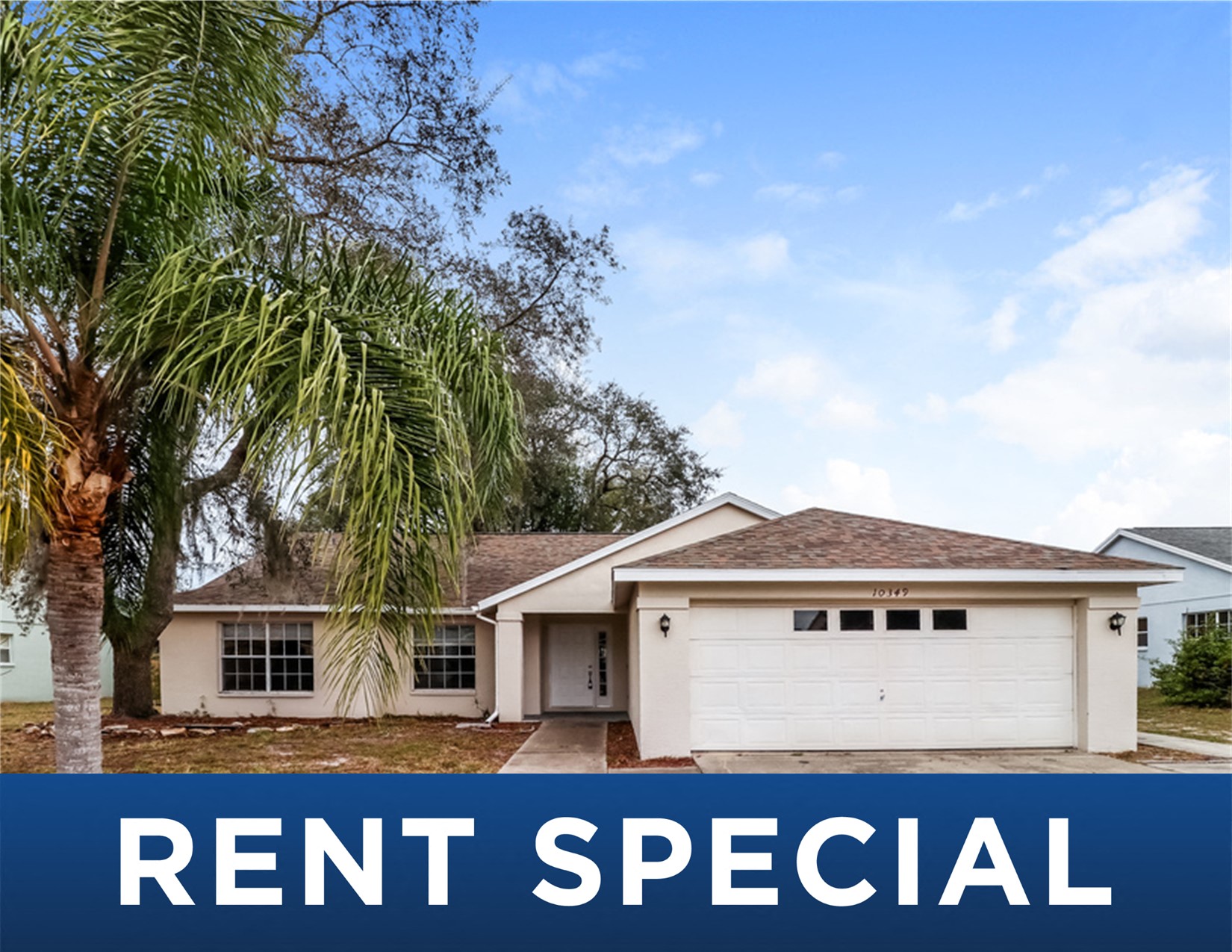 a house with a palm tree in front of it