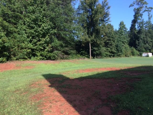 a field of grass with trees in the background