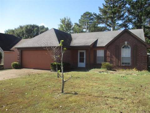 a home with a small tree in the front yard