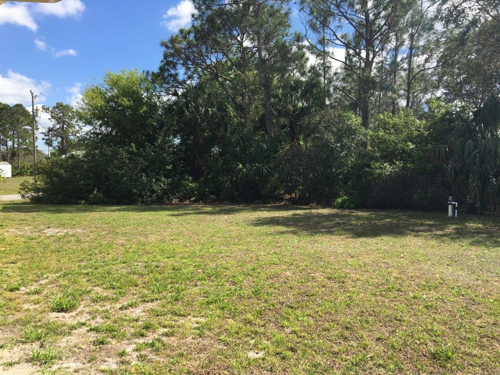 a grassy field with trees in the background