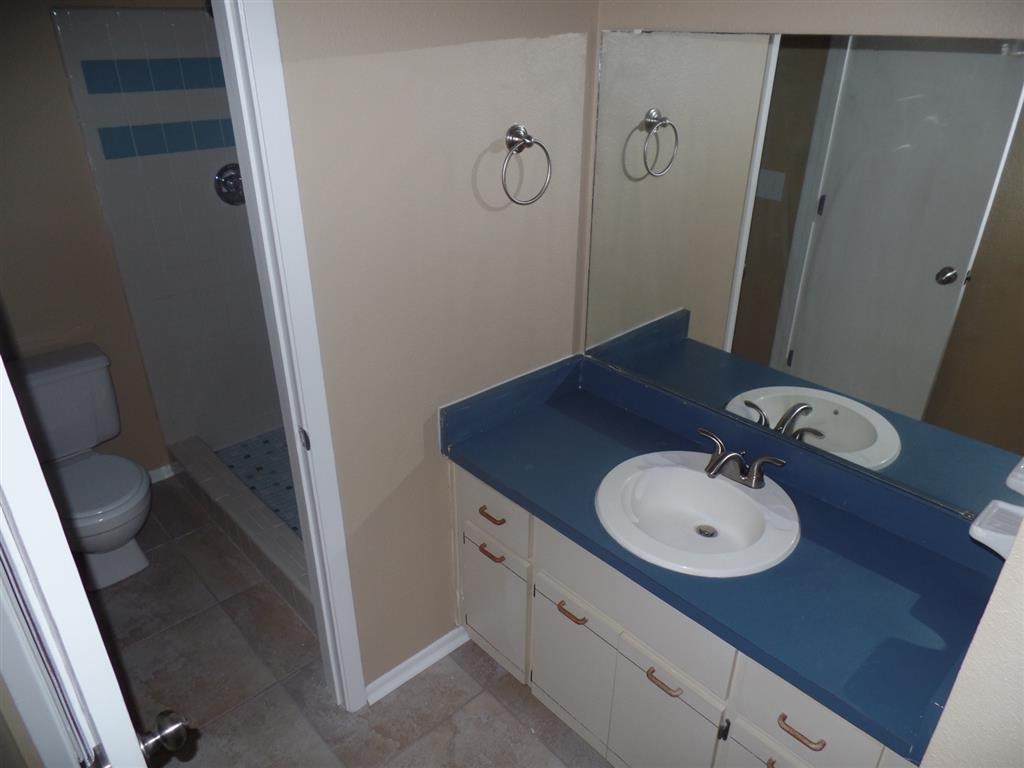 a bathroom with a sink and a toilet and a shower