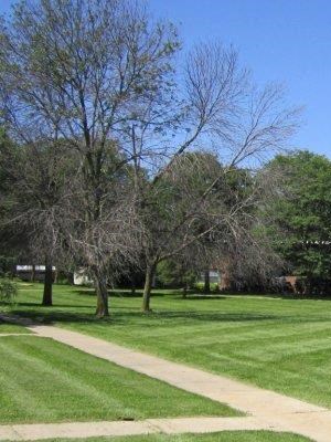 Swartz Creek Apartments For Rent Swartz Creek Apartments For Rent
